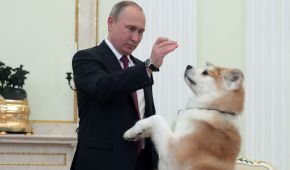 El presidente de Rusia juega con su perra 'Yume' en la residencia oficial