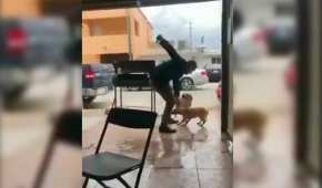 El momento en el que un hombre apuñala a un perro que se le acercó