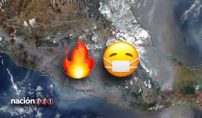 Los incendios forestales afectan al sur y centro del país