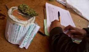 Se prevé que esta semana la legalización de la marihuana pase en el Senado