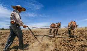 El gobierno federal otorga apoyos económicos  campesinos que desean producir sus tierras