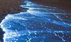 Puerto Márquez fue testigo del fenómeno de bioluminiscencia que se originó por la descontaminación del mar