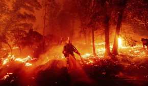 Incendios forestales han destruido gran parte de las zonas boscosas y tropicales del planeta