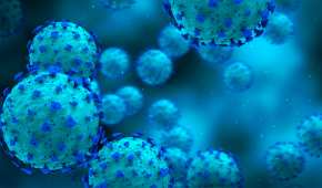 Los científicos han descubierto cómo neutralizar el virus que provoca COVID-19