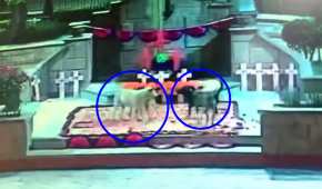 Las cámaras de seguridad captaron el momento en que un grupo de perritos destruyó el altar