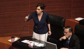 La senadora aseguró que el gobierno mexicano busca expropiar ejidos