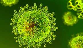 Se han identificado casos de una nueva variante de coronavirus en México