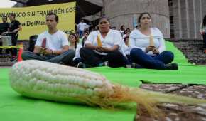 Colectivos aseguran que es una decisión histórica en defensa del maíz nativo y de los agricultores e indígenas en México
