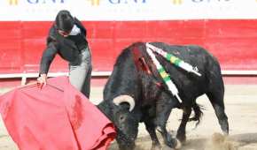Las corridas de toros se han catalogado como maltrato animal y no como un espectáculo multicultural