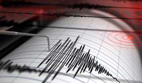 El sismo fue perceptible en 17 estados de la República.