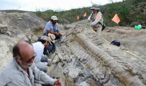 Durante la construcción del Tren Maya, se han encontrado varios vestigios