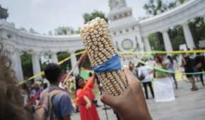 México desató la disputa cuando anunció planes para prohibir las importaciones de maíz transgénico para consumo humano