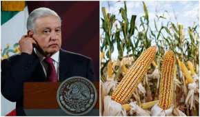 El mandatario se mostró en contra de consumir maíz transgénico en México