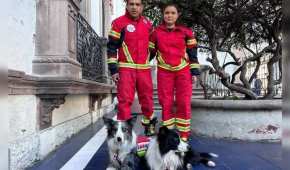 Los perros rescatistas participaron activamente en la misión de México en Turquía
