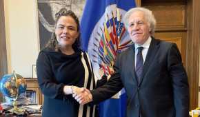 Gómez del Campo se entrevistó con el secretario general de la OEA, Luis Almagro