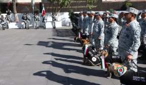 Los perritos trabajaron junto a la Guardia Nacional por siete años o más