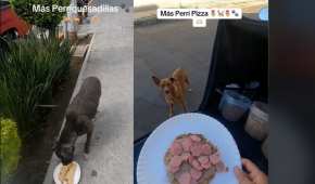 Las 'perri-quesadillas' y 'perri-pizzas' son hechas con ingredientes especiales para perritos