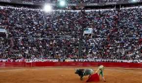 Las corridas de toros se han catalogado como maltrato animal y no como un espectáculo multicultural