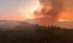 Las llamas y el humo en la zona son visibles desde la CDMX