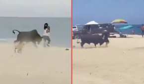 El toro llegó perseguido por perros