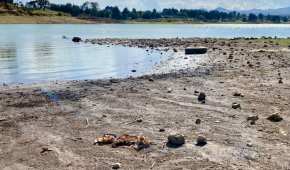 Las presas Miguel Alemán, Villa Victoria y El Bosque, están al borde del colapso