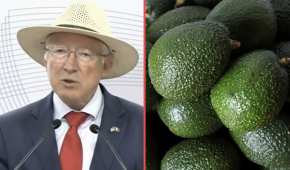 Dio a conocer que se reactiva la exportación de aguacate mexicano a EU