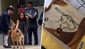 El perrito Flavio fue reconocido en una ceremonia al graduarse con honores