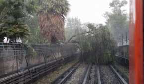 El Metro compartió la imagen de la lluvia y del árbol derrumbado