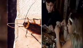 La mujer fue captada mientras sacaba una cucaracha de un recipiente