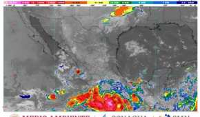 Autoridades toman precauciones ante la llega del fenómeno natural a las costas mexicanas