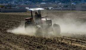 Las actividades agropecuarias repuntaron 12.5%, su primer avance luego de tres meses con caídas anuales