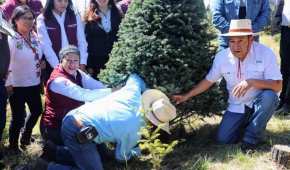 La secretaria del Campo encabezó el corte del prime árbol de Navidad de la temporada