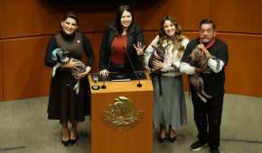 Aprovecharon el momento para llevar a un par de perritos y así hacer conciencia con los legisladores